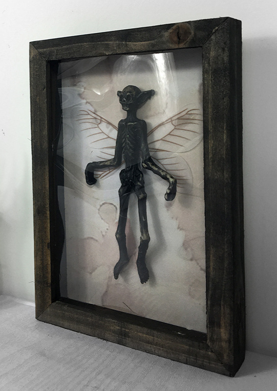 Side angle of framed mummified fairy with insect-like wings inside vintage display case