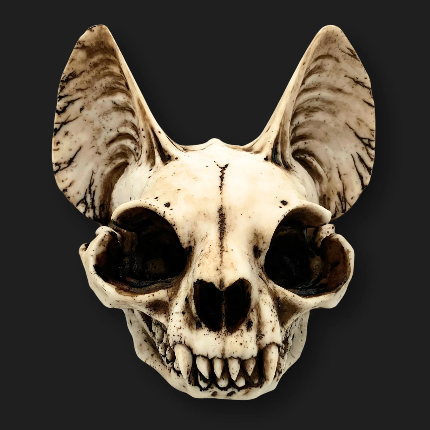Front view of Bastet skull resin sculpture – gothic cat goddess décor, 5.5 inches.