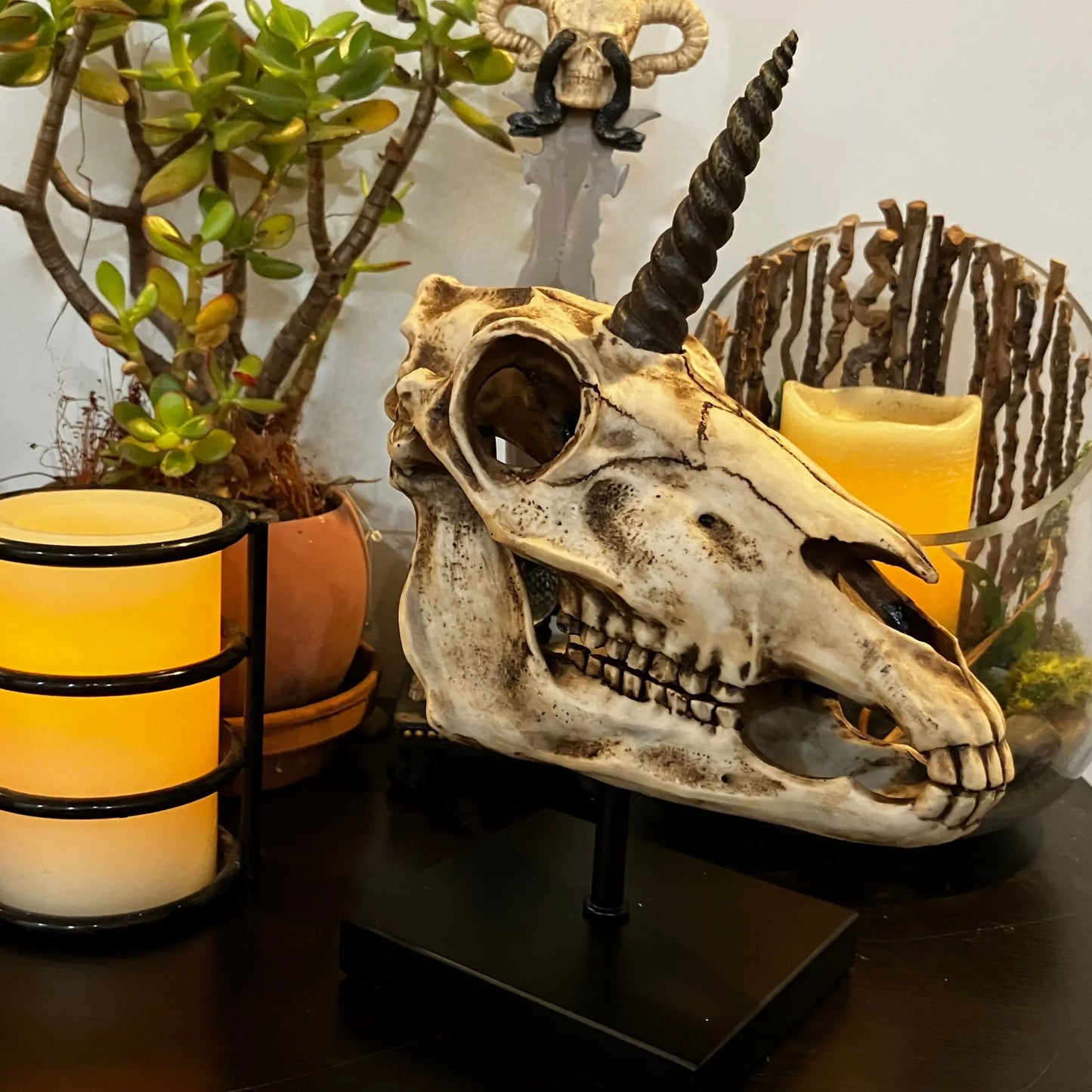 Unicorn skull replica displayed with candles and plants, gothic fantasy home décor collectible