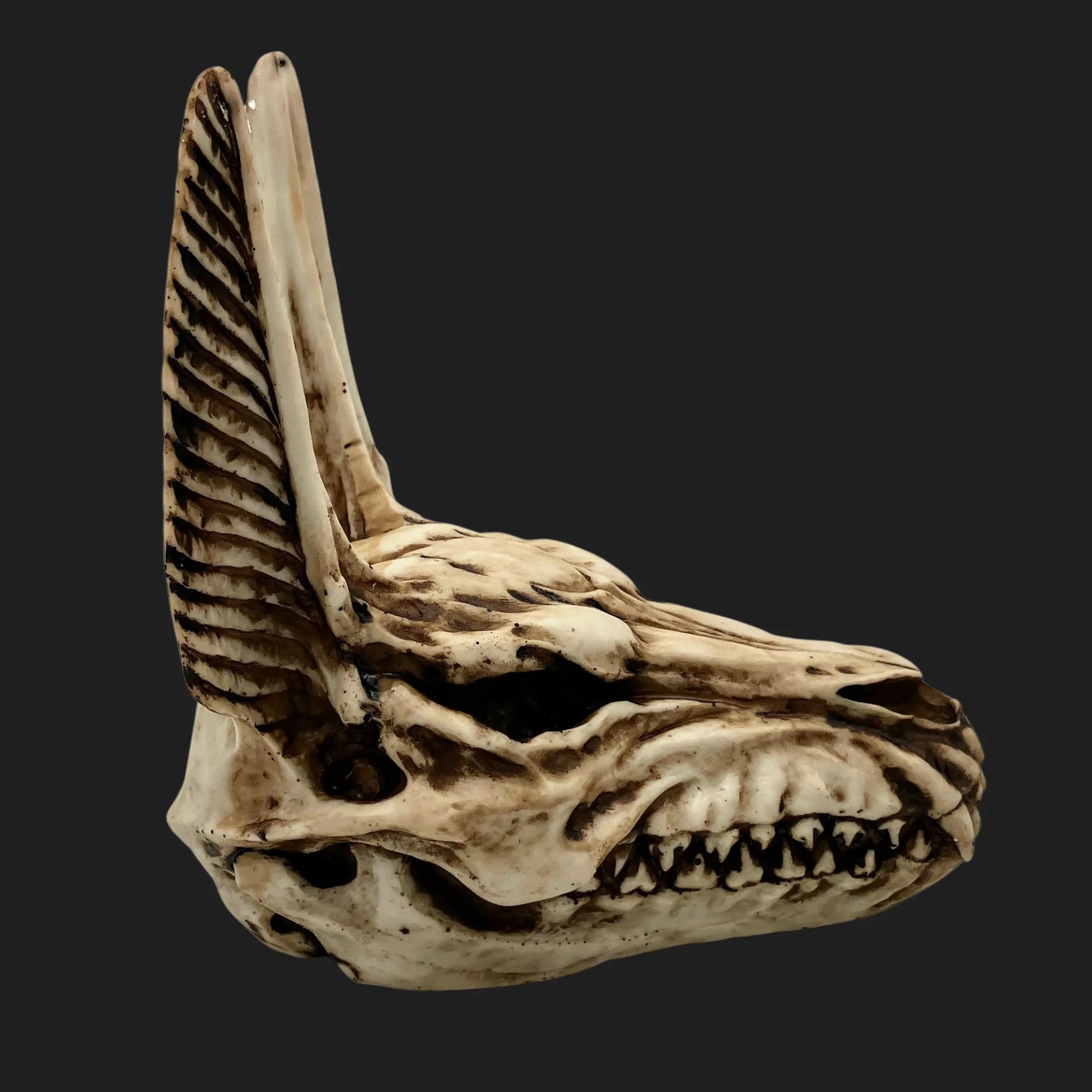 Side view of Anubis jackal skull figurine in Egyptian style