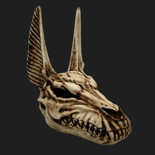 Anubis skull statue 7 inches tall, jackal god of the dead in bone finish