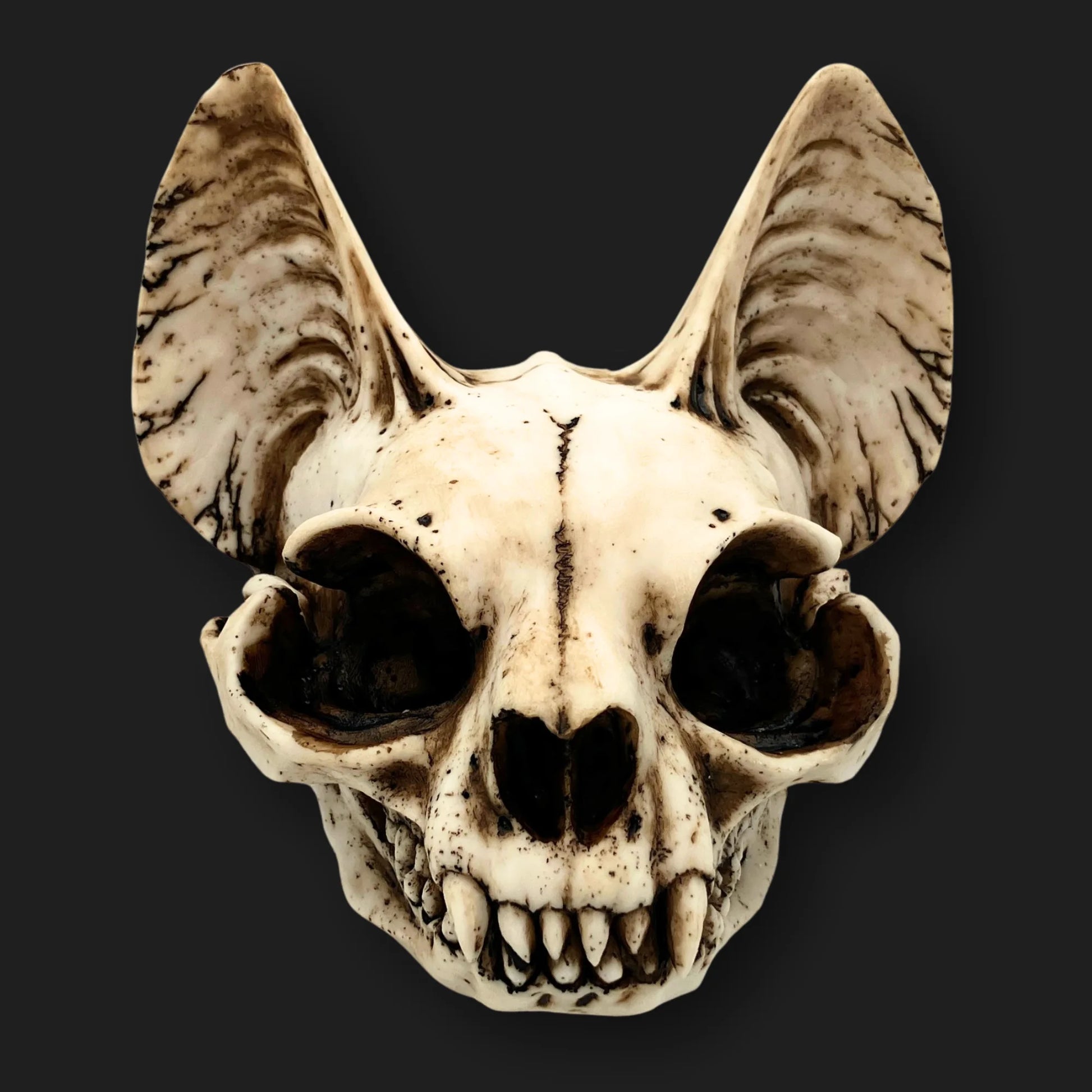 Front view of Bastet skull resin sculpture – gothic cat goddess décor, 5.5 inches.