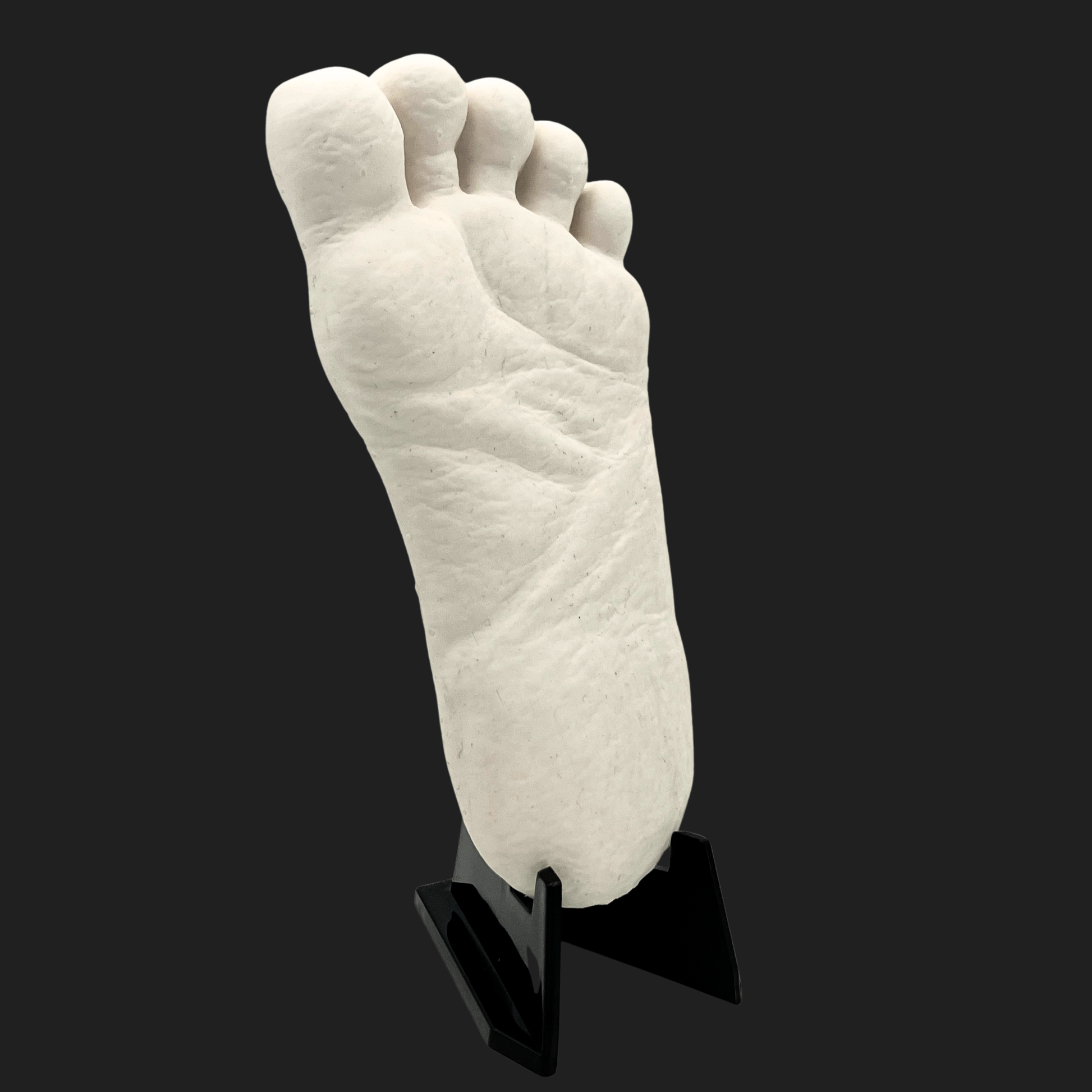 Angled view of Bigfoot footprint mini cast highlighting depth and sculptural detail