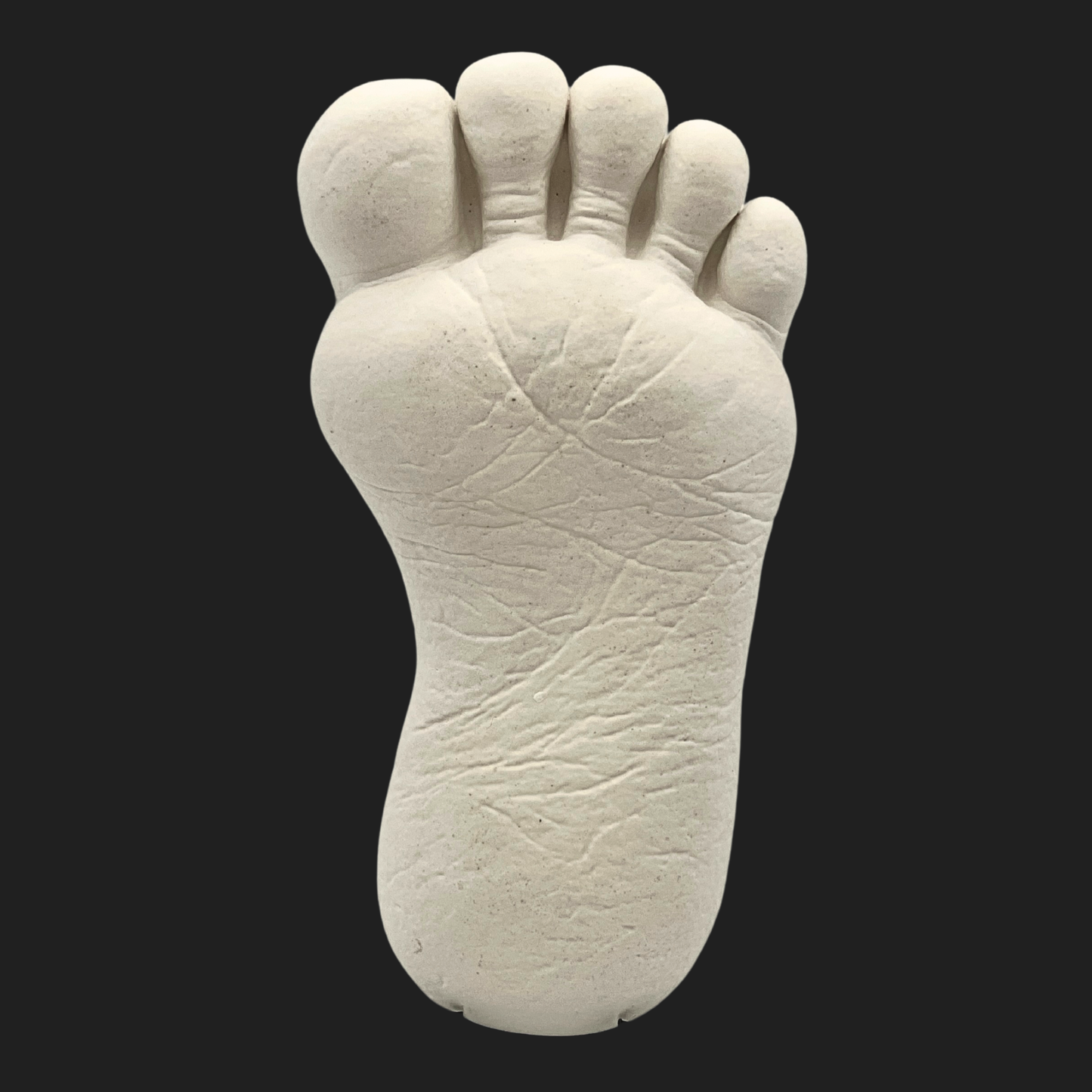 Bigfoot footprint mini cast front view highlighting toe shape and realistic texture
