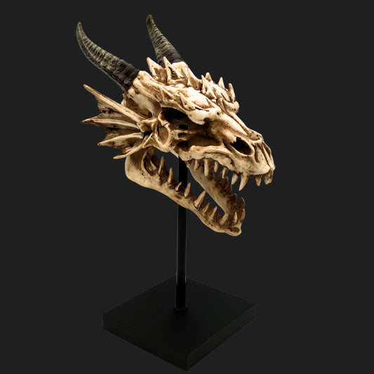 A detailed resin dragon skull replica with horns, displayed upright on a black stand for fantasy décor.