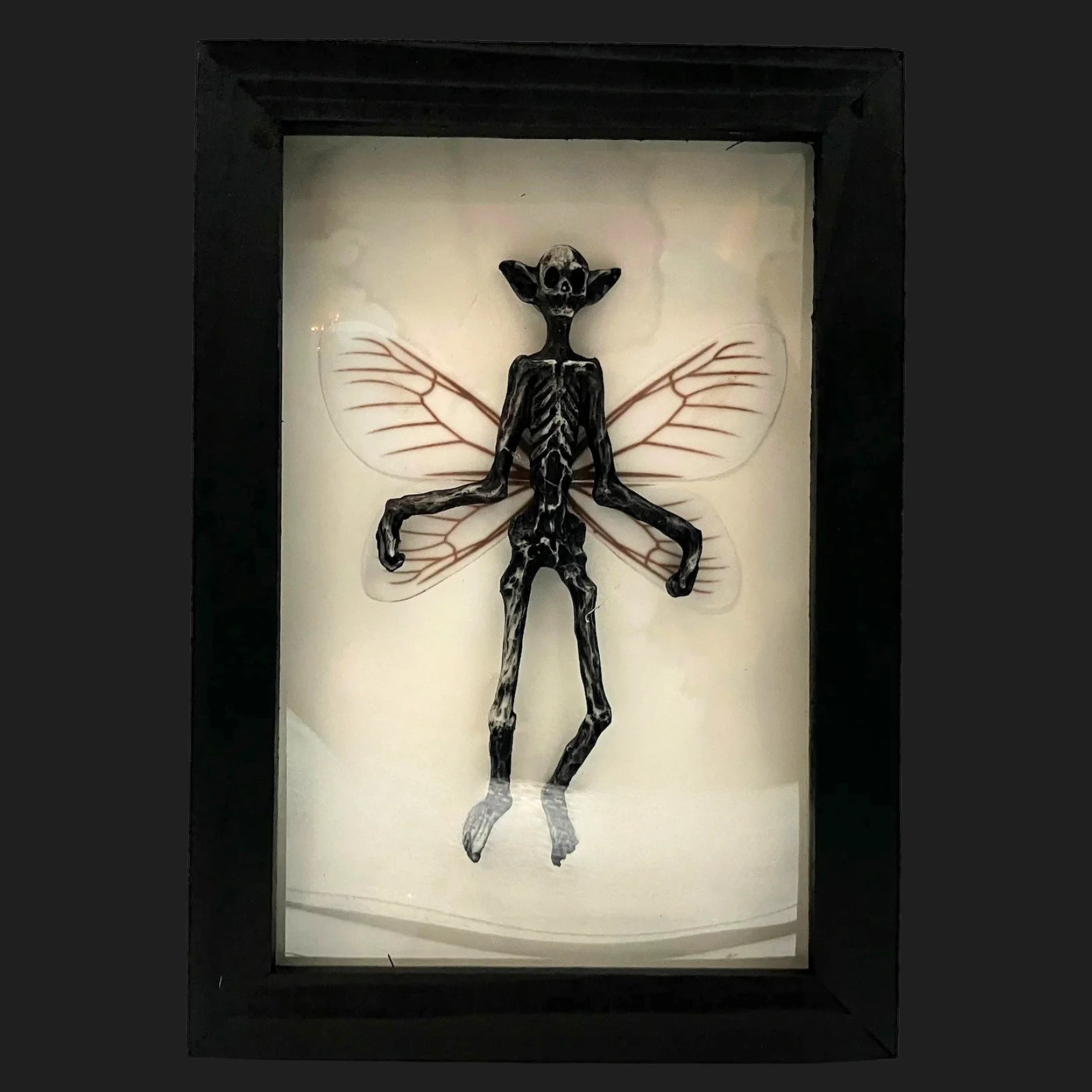 Realistic fairy skeleton specimen in a black shadow box display, creepy mythical collectible décor for cryptid and fantasy lovers