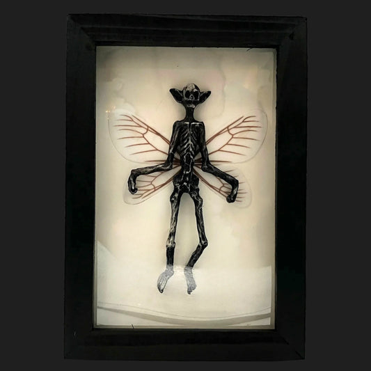 Realistic fairy skeleton specimen in a black shadow box display, creepy mythical collectible décor for cryptid and fantasy lovers