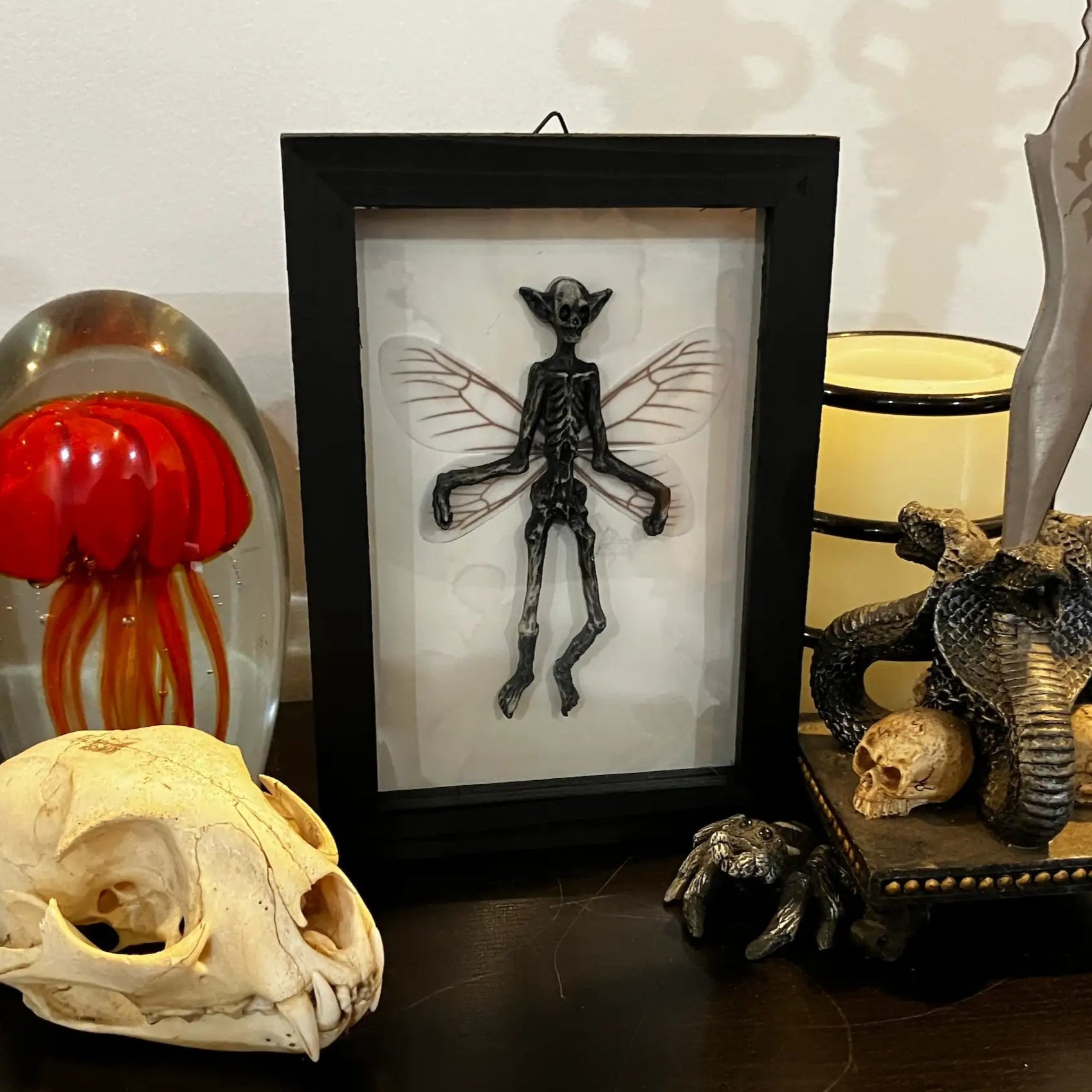 Dark gothic decor with framed skeletal fairy specimen, animal skull, glass jellyfish paperweight, and snake dagger statue with skulls