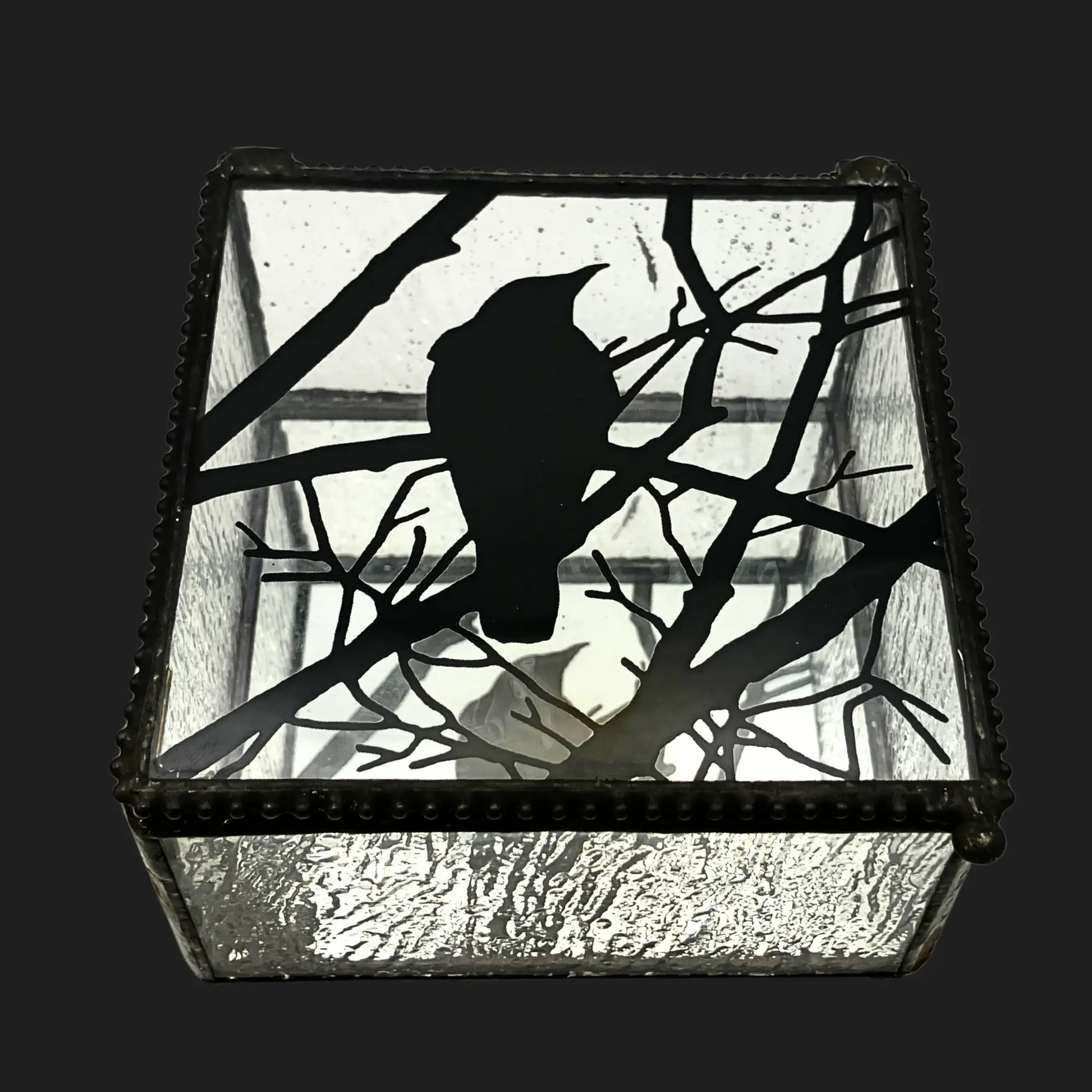 Top view of a 4x4 glass box with frosted sides and a raven silhouette perched on branches