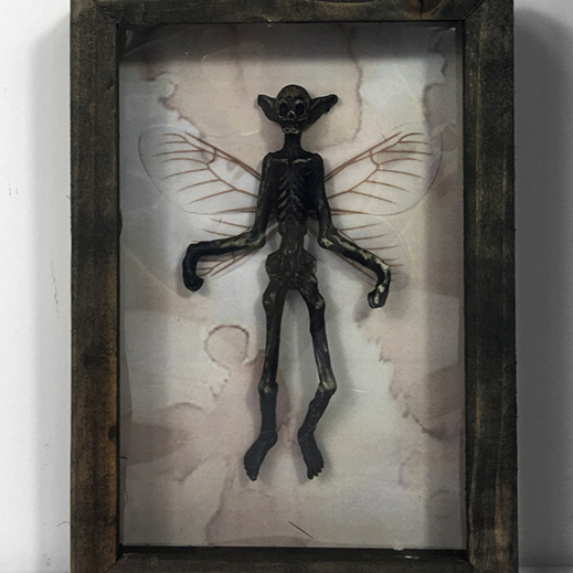 Front view of a mummified fairy specimen in rustic wooden shadow box with translucent wings