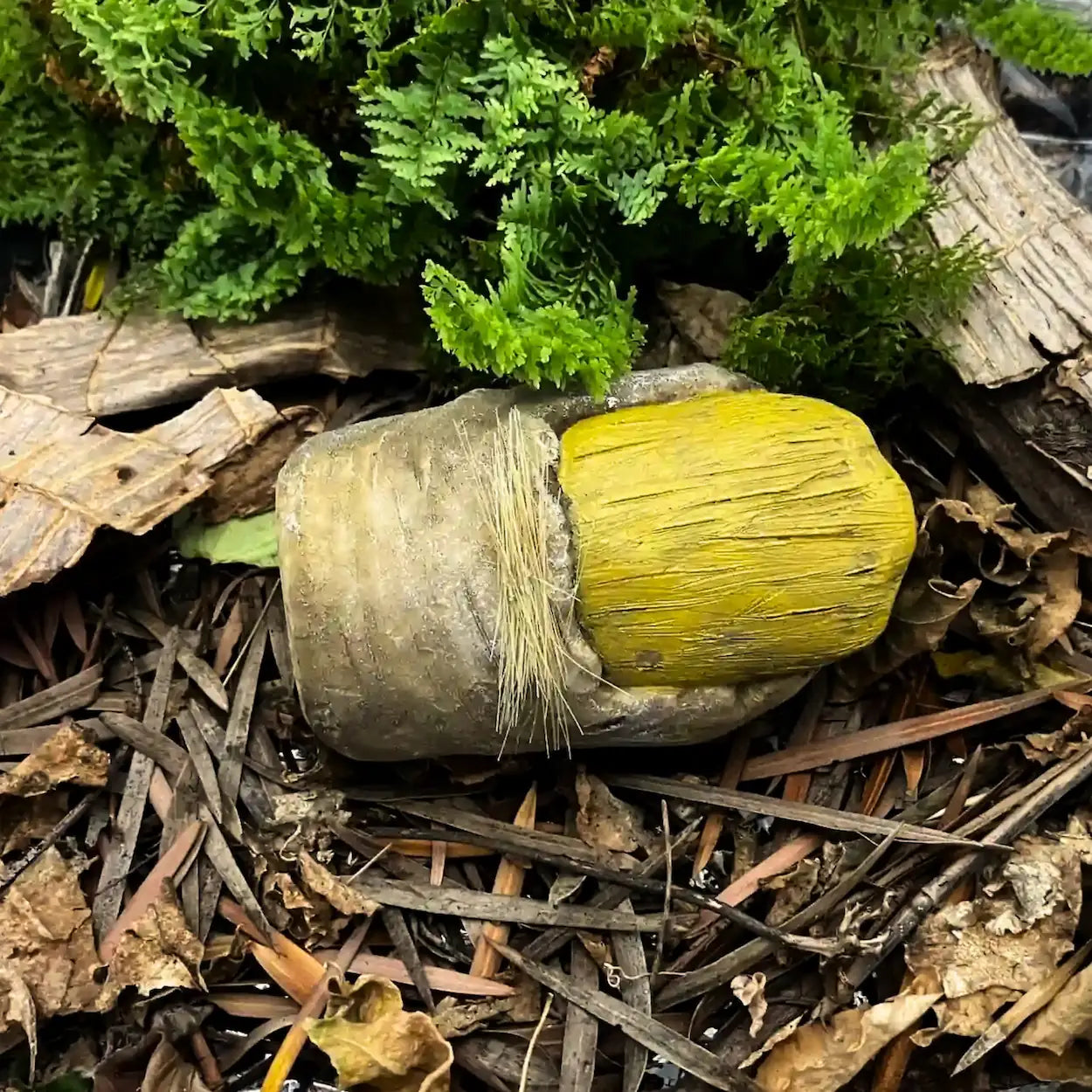 Bigfoot toe relic replica staged in forest leaves and ferns for cryptid evidence display