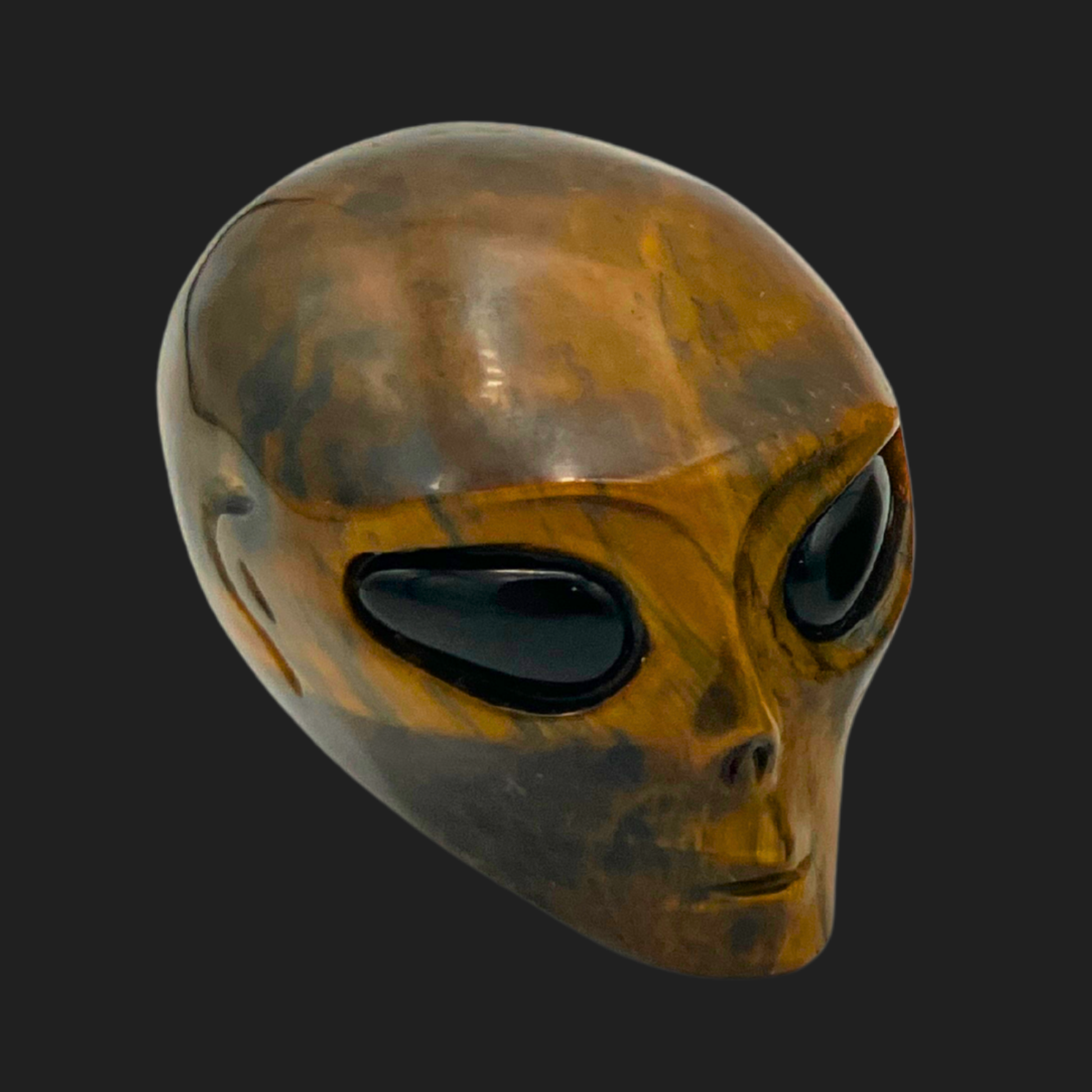Angled front view of Tiger’s Eye alien skull carving with smooth brown and gold banding, extraterrestrial crystal from Lair of Mythics.
