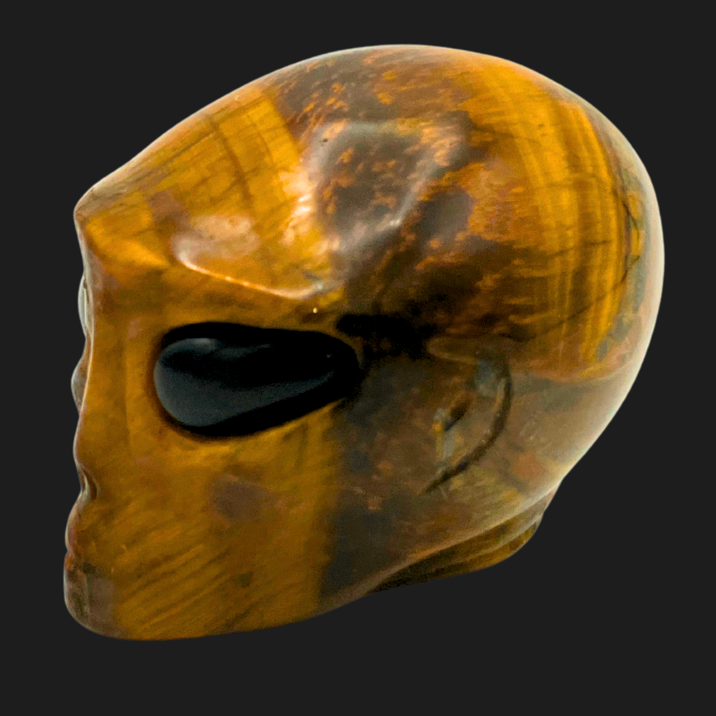 Side view of Tiger’s Eye alien skull carving with polished black eyes, gemstone collectible from Lair of Mythics.