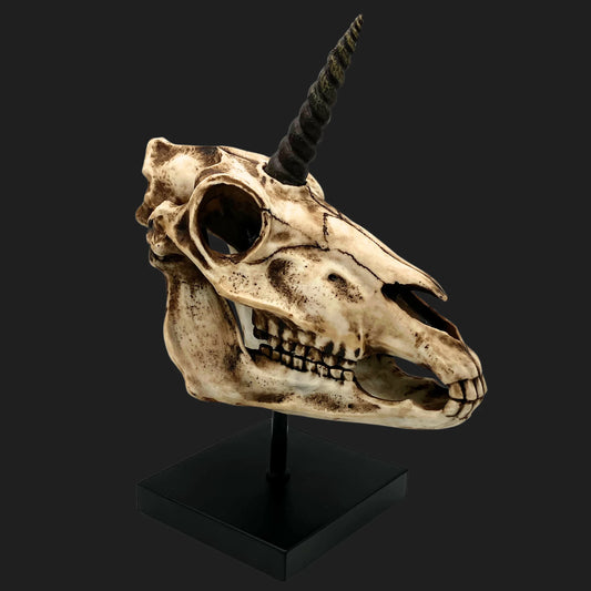 Unicorn skull replica mounted on a black display stand, realistic resin fossil design for mythical home décor
